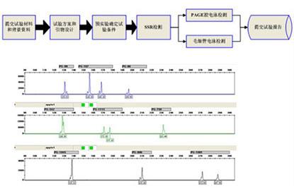 01放底下